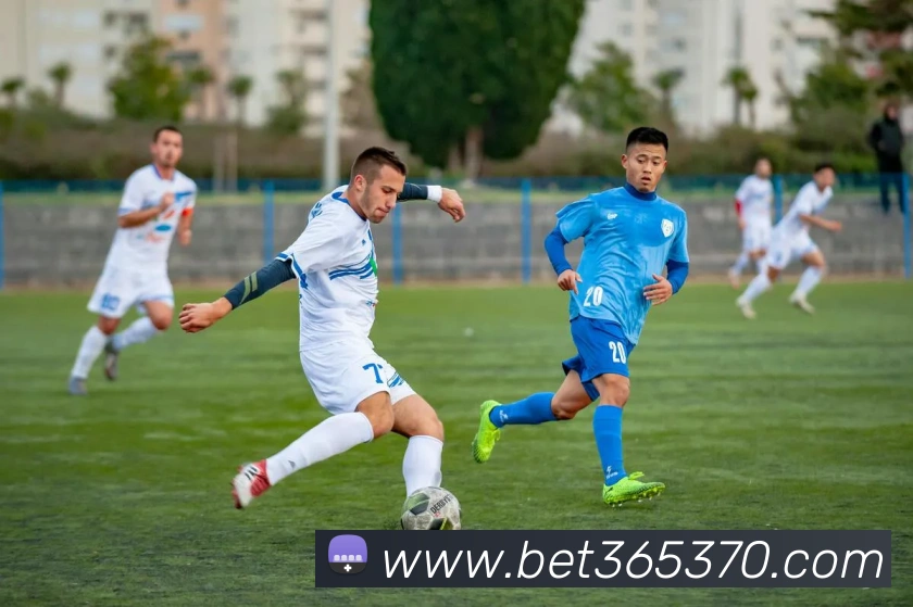bet365中国官网发展历程